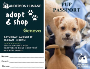 Event information on the left side. Picture of a puppy on a blue blanket on the right side. 